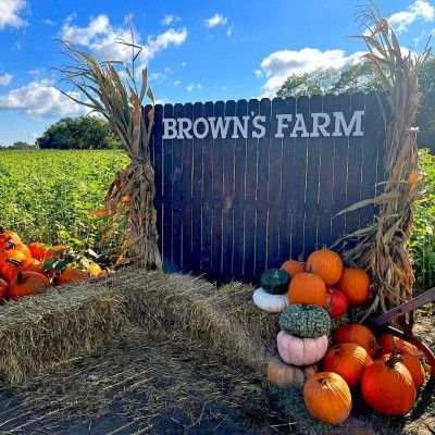 Hay — Farmtown Park  Where Memories Are Collected