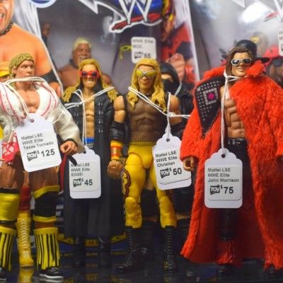 The Toy Department WWE Action Figures