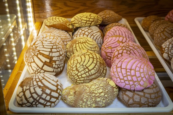 Content image Image file BA4A5118_BBDD9434-A384-1CD4-2E2E855327220F53-bbdd633cefafc23_bbde490f-0fee-ae49-f3e55edd8364106f.jpg