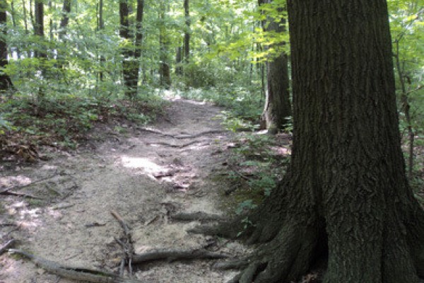 Content image Image file Walking-Trail-Miami-Middletown_fab29061-5056-a36a-0923b12385ff8e8a.jpg