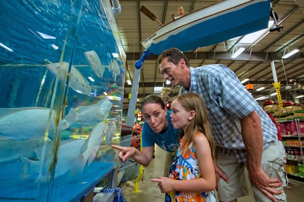 Content image Image file junglejims_F7BB0D81-5056-A36A-09EF408862B7A2CA-f7bb0c615056a36_f7bb148c-5056-a36a-095b7b1a33429d4a.jpg