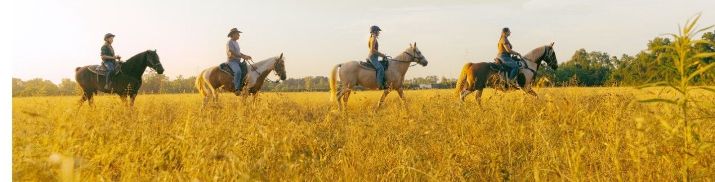 Nation Road Horseback Riding, Oxford Ohio