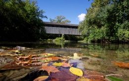 Black Covered Bridge