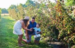 Indian Springs Berry Farm, Fairfield Township Ohio