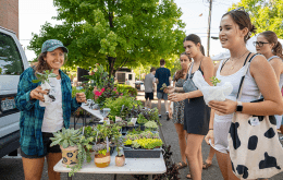 Farmers Market