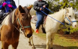 Image file Horsebackriding.jpg