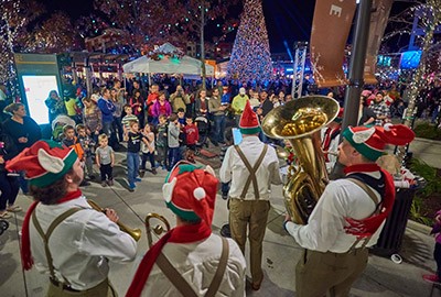 Image file libertycentertreelighting.jpg